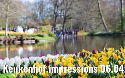 Keukenhof impressions 06.04.2026