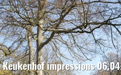 Keukenhof impressions 06.04.2026