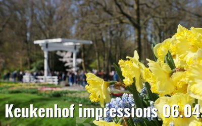 Keukenhof impressions 06.04.2026