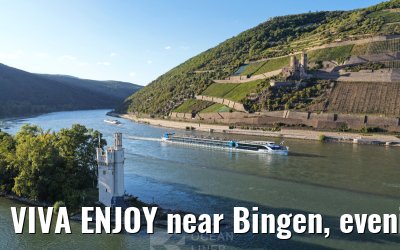 VIVA ENJOY near Bingen, evening light 30.08.2025