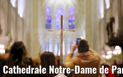 Cathedrale Notre-Dame de Paris 16.12.2024