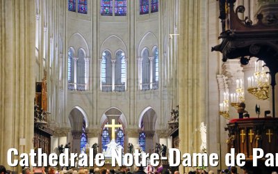 Cathedrale Notre-Dame de Paris 16.12.2024