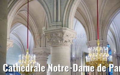 Cathedrale Notre-Dame de Paris 16.12.2024