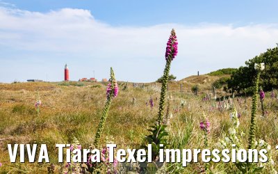VIVA Tiara Texel impressions 17.07.2025