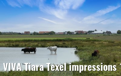 VIVA Tiara Texel impressions 17.07.2025