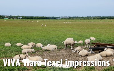 VIVA Tiara Texel impressions 17.07.2025
