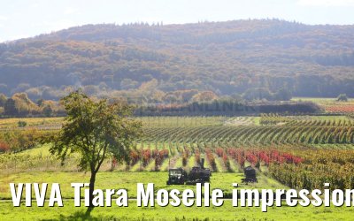 VIVA Tiara Moselle impressions 21.10.2024
