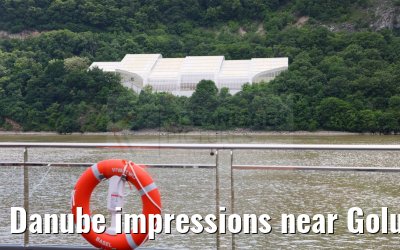Danube impressions near Golubac 21.05.2023