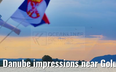 Danube impressions near Golubac 21.05.2023
