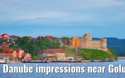 Danube impressions near Golubac 21.05.2023