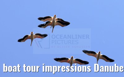 boat tour impressions Danube Delta 18.05.2023
