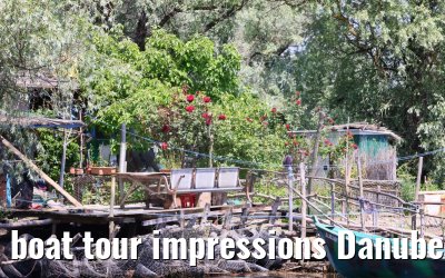 boat tour impressions Danube Delta 18.05.2023