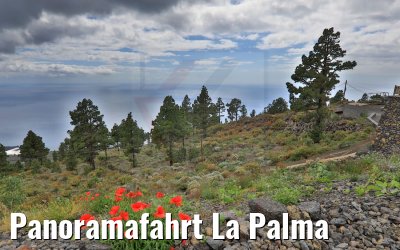 Panoramafahrt La Palma