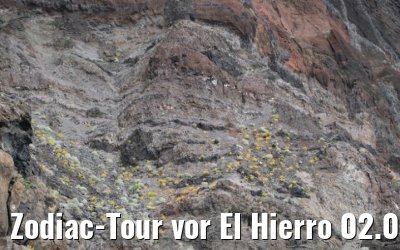 Zodiac-Tour vor El Hierro 02.05.2021