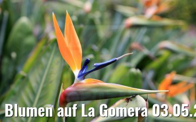 Blumen auf La Gomera 03.05.2021