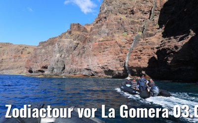 Zodiactour vor La Gomera 03.05.2021