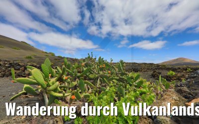Wanderung durch Vulkanlandschaften auf Lanzarote 06.05.2021