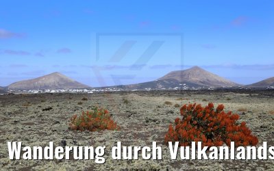 Wanderung durch Vulkanlandschaften auf Lanzarote 06.05.2021