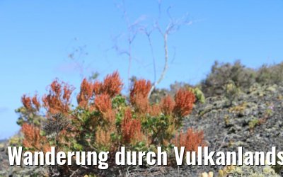 Wanderung durch Vulkanlandschaften auf Lanzarote 06.05.2021