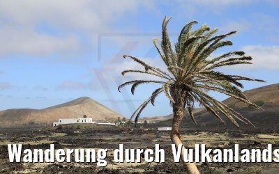 Wanderung durch Vulkanlandschaften auf Lanzarote 06.05.2021