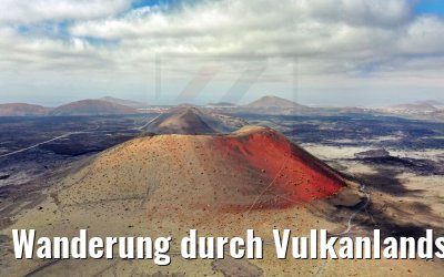 Wanderung durch Vulkanlandschaften auf Lanzarote 06.05.2021 World Voyager rote Einfärbungen