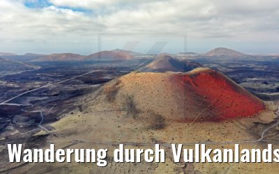 Wanderung durch Vulkanlandschaften auf Lanzarote 06.05.2021 World Voyager rote Einfärbungen