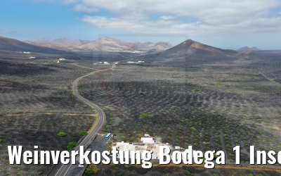 Weinverkostung Bodega 1 Inseltour 06.05.2021 World Voyager