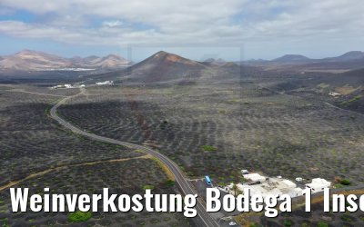 Weinverkostung Bodega 1 Inseltour 06.05.2021 World Voyager