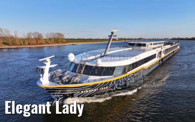 Elegant Lady Elegant Lady