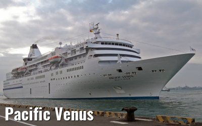 Pacific Venus Pacific Venus