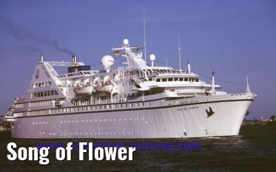 Song of Flower Song of Flower