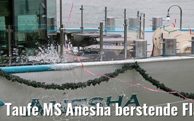 Taufe MS Anesha berstende Flasche 26.06.2015 Taufe MS Anesha berstende Flasche 26.06.2015