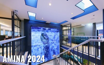 AMINA 2024