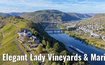 Elegant Lady Vineyards & Marienburg